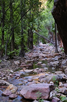 Images Dated 9th May 2008: El Questro Gorge, Kimberley, Western Australia, Australia, Pacific