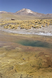 Atacama Prints: El Tatio geyser basin on altiplano, boiling pool with algal colour zoning
