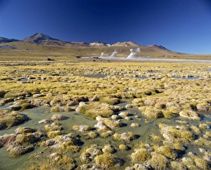 El Tatio Prints: El Tatio Geyser in the San Pedro de Atacama, Chile, South America