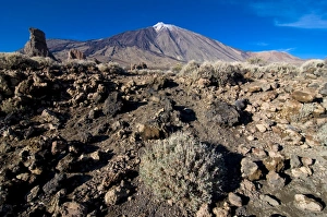 Images Dated 31st December 2008: El Teide volcano, Teide National Park, UNESCO World Heritage Site, Tenerife