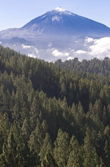 Images Dated 31st December 2008: El Teide volcano, Teide National Park, UNESCO World Heritage Site, Tenerife