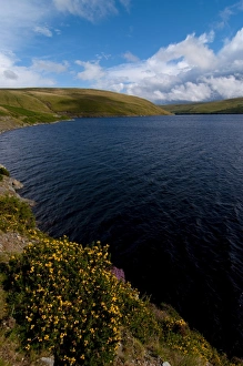 Images Dated 13th August 2008: Elan Valley, Powys, Wales, United Kingdom, Europe