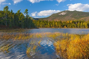 Reeds Prints: Elbow Pond, Baxter State Park, Maine, New England, United States of America, North America