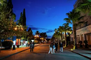 Nighttime Prints: Elegant buildings line the ocean promenade at nighttime in Sukhumi