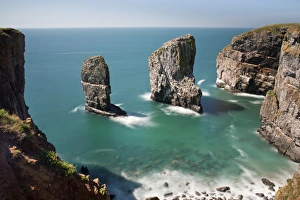 Sea Stacks Prints: The Elegug Sea Stacks, Pembrokeshire, Wales, United Kingdom, Europe