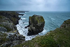 Traditionally Welsh Prints: Elegug Stacks, occupied by a colony of Guillemots, Pembrokeshire Coast National Park