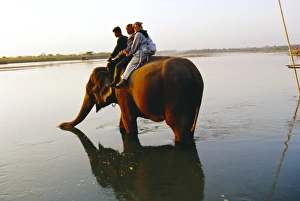 Elephant Prints: Elephant carrying tourists on its back in the Reu river