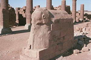 Images Dated 29th January 2000: Elephant carving