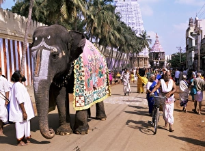 An elephant leads procession of huge chariot outside