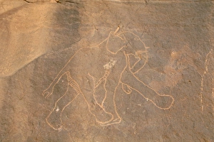 Rock Art Prints: Elephant, primitive rock carving, Akakus, Sahara desert, Fezzan, Libya