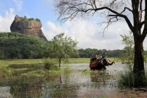 Passenger Prints: Elephant ride in lake by rock palace, Sigiriya, Central Province, Sri Lanka, Asia
