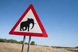 Images Dated 30th April 2009: Elephant road sign, Damaraland, Kunene region, Namibia, Africa
