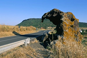 Sassari Prints: Elephant rock