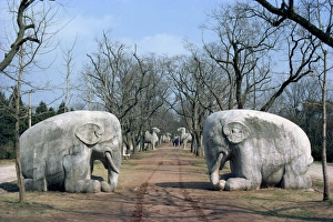 Ming Prints: Elephant statues on Sacred Way, Ming Tombs, Nanking, China, Asia