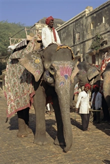 Whole Body Prints: Elephant transport for tourists