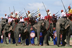 Animal Welfare Prints: Elephants at festival