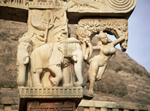 Elephants and nymph bracket