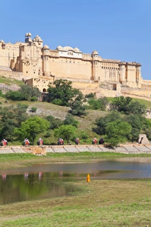 Jaipur Prints: Elephants taking tourists to the Amber Fort near Jaipur, Rajasthan, India, Asia