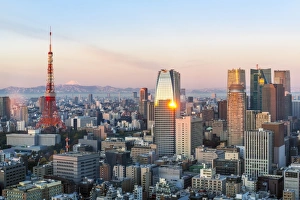 Typically Japanese Gallery: Elevated evening view of the city skyline and iconic Tokyo Tower, Tokyo, Japan, Asia