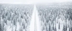 Winter Scene Prints: Elevated panoramic view of road along the snow covered forest