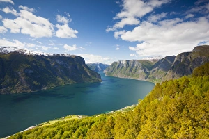 Images Dated 13th June 2009: Elevated view over Aurlands Fjord, Sogn og Fjordane, Norway, Scandinavia, Europe