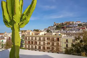 Eivissa Prints: Elevated view of Cathedral, Vara de Rei Square and Dalt Vila