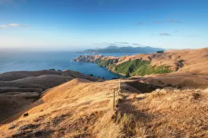 Zealand Prints: Elevated view across golden hills to turquoise waters at French Pass in Marlborough Sounds