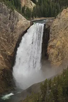 Elevated view of Lower Falls and viewing platform with visitors, Yellowstone National Park, UNESCO World Heritage Site, Wyoming, United States of America, North America