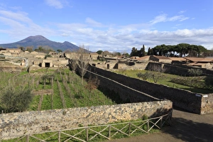 Elevated view to Mount Vesuvius, over Garden of the Fugitives, Roman ruins of Pompeii Elevated view to Mount Vesuvius, over Garden of the Fugitives, Roman ruins of Pompeii