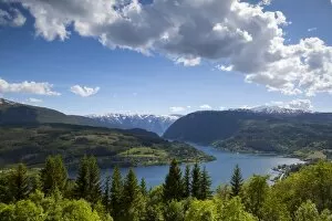 Elevated view over the picturesque Ulvik fjord, Ulvik, Hordaland, Norway, Scandinavia, Europe