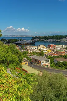 Colorful Buildings Prints: Elevated view of Porto d'Ischia (Port of Ischia)