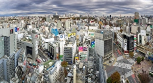 Shinjuku Prints: Elevated view over Shibuya Ward towards the Shinjuku skyline, Tokyo, Japan, Asia