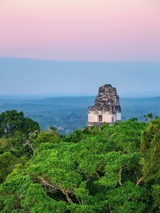 Vista Prints: Elevated view of Temple I at dusk in Tikal