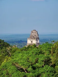 Pyramid Prints: Elevated view of Temple I, a significant Mayan structure in Tikal surrounded by dense jungle