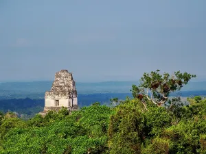 Artistry Prints: Elevated view of Temple I in Tikal, showcasing ancient structure and surrounding jungle