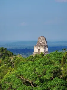 Pyramid Prints: Elevated view of Temple I at Tikal showing lush greenery in the background and distant landscape under blue sky