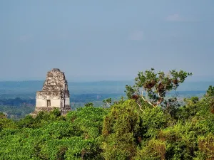 Pyramid Prints: Elevated view of Temple I at Tikal surrounded by jungle in Peten Guatemala