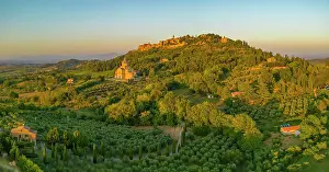 Grove Prints: Elevated view of vineyards, olive groves and Montepulciano at sunset