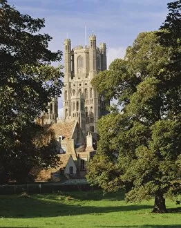 Vegetation Collection: Ely Cathedral, Ely, Cambridgeshire, England, UK