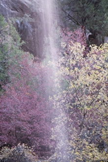 Images Dated 15th November 2007: Emerald Pool Falls, Zion National Park in autumn, Utah, United States of America