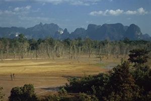Pollution Prints: Encroaching forest in limestone basin
