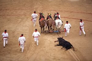 Images Dated 11th July 2007: End of the bullfight, Plaza de Toros, San Fermin festival, Pamplona, Navarra