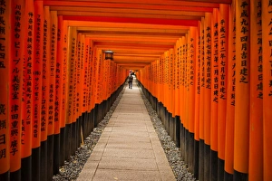Shrines Prints: The Endless Red Gates of Kyotos Fushimi Inari Shrine, Kyoto, Japan, Asia