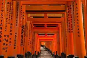 Japanese Script Prints: The Endless Red Gates (torii) of Kyotos Fushimi Inari Shrine, Kyoto, Japan, Asia