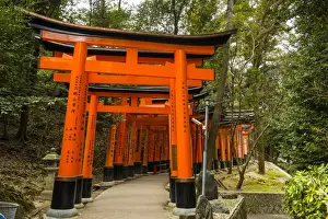 The Endless Red Gates (torii) of Kyotos Fushimi Inari Shrine, Kyoto, Japan, Asia