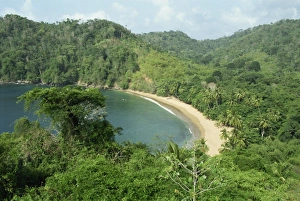 Tobago Prints: Englishmans Bay