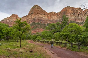 Enjoying the view in Zion National Park, Utah, United States of America, North America