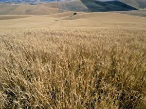 Enna, island of Sicily