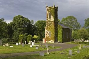 Enniseag Church, County Kilkenny, Leinster, Republic of Ireland, Europe
