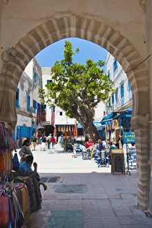Town Gates Prints: Entrance to the Essaouiras old Medina